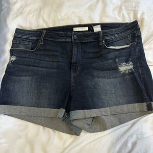 Plus Size Denim Shorts